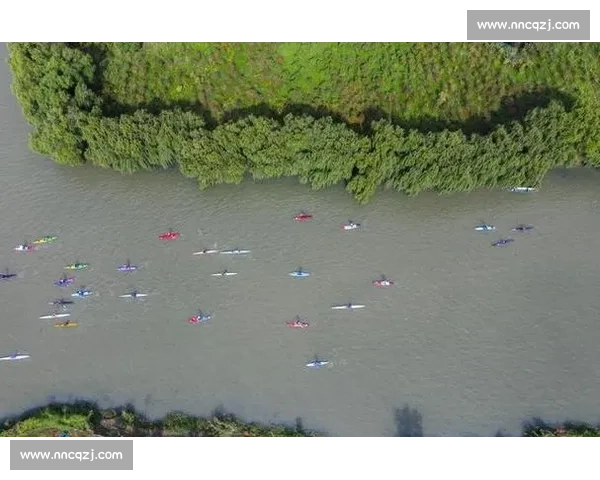 诸暨白塔湖:生态湿地里的桨板竞速赛